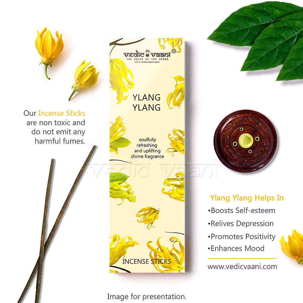 Ylang Ylang Masala Agarbatti Incense Sticks image 2