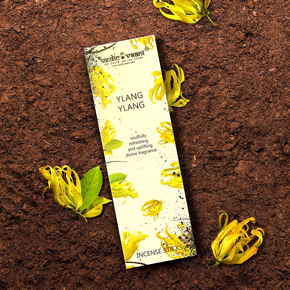 Ylang Ylang Masala Agarbatti Incense Sticks image 3