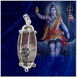 vedic vaani™ narmada shivling locket