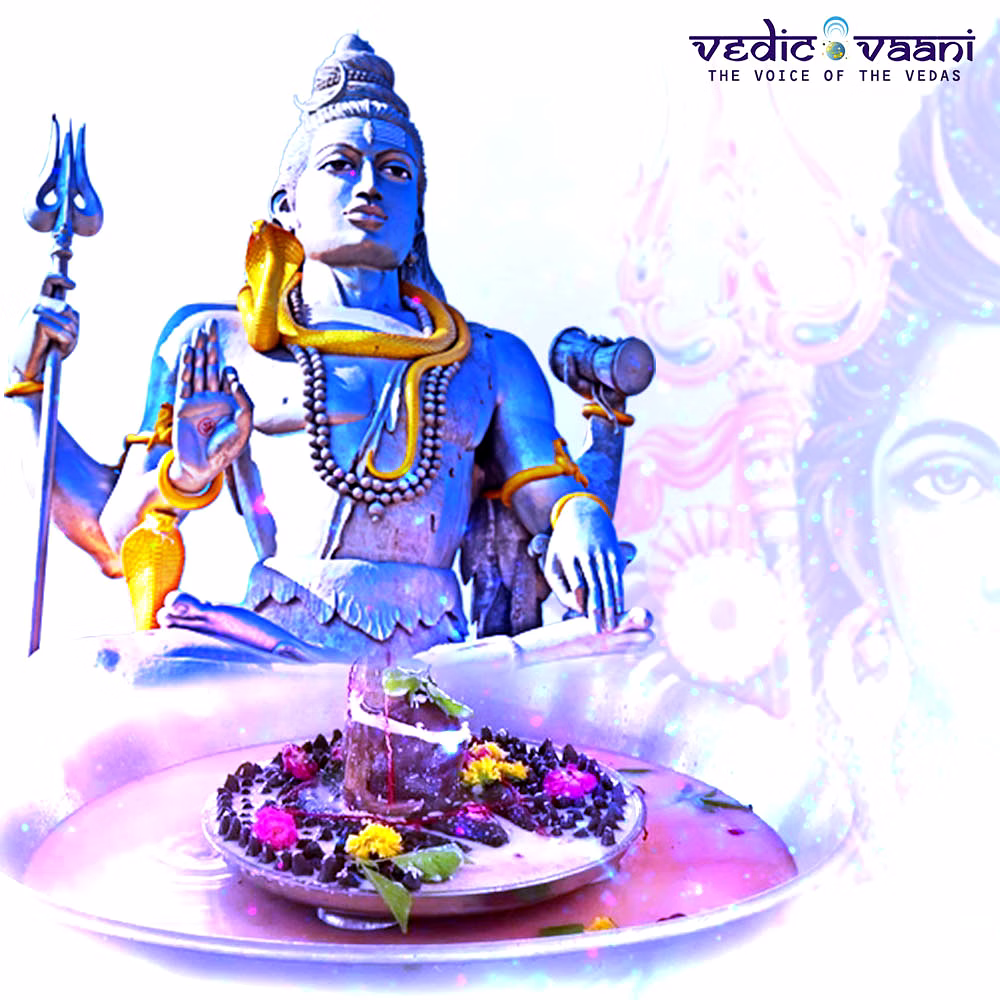 vedic vaani™ parthiv shivling puja