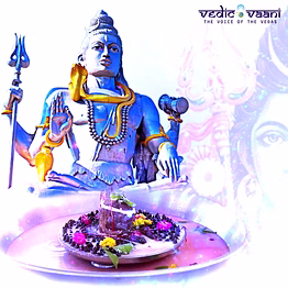 vedic vaani™ parthiv shivling puja