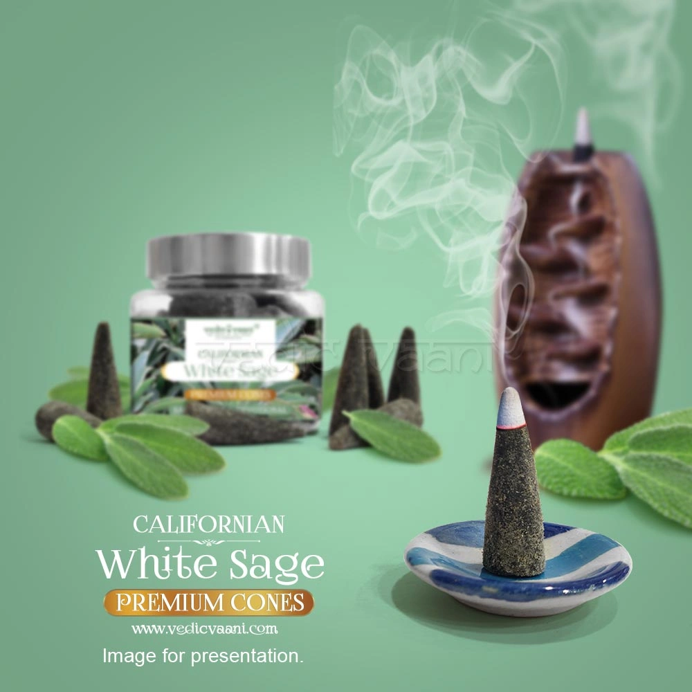 Californian White Sage Sacred Dhoop Cones-35 cones-2