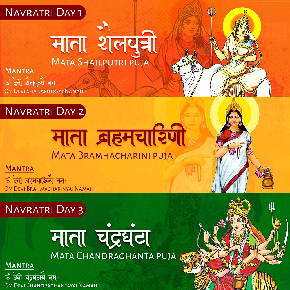 Navratri NavDurga Mata Puja,Mantra Japa and Yagna image 2