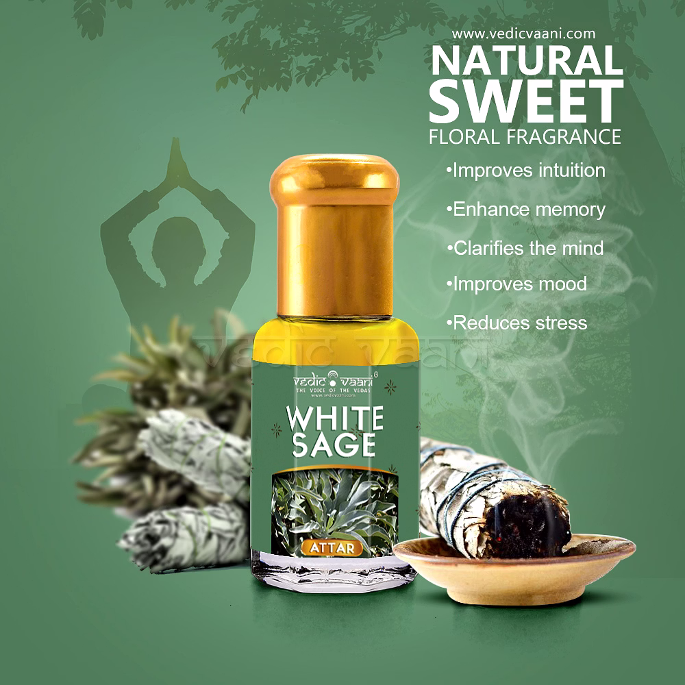 White Sage Attar / Itar image 2