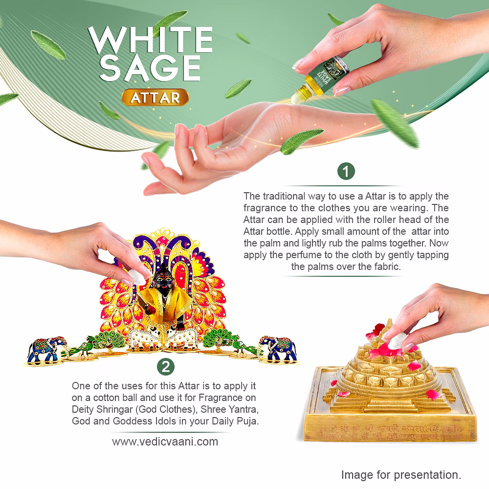 White Sage Attar / Itar image 4