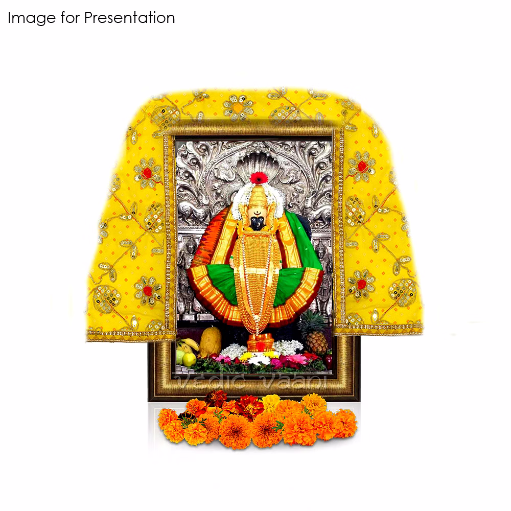 Gujrati Bandhani Print Dotted Designer Squence Work Chunry for Mataji, Maatarani - Set of 5 image 4