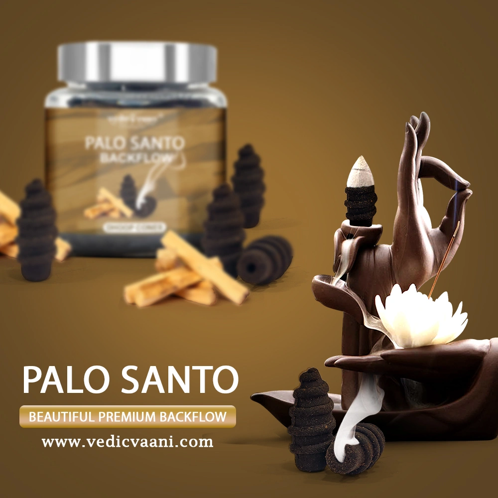 Palo Santo Backflow Dhoop Cones-1