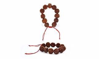Rudraksha Bracelet 7 Mukhi Nepal Beads