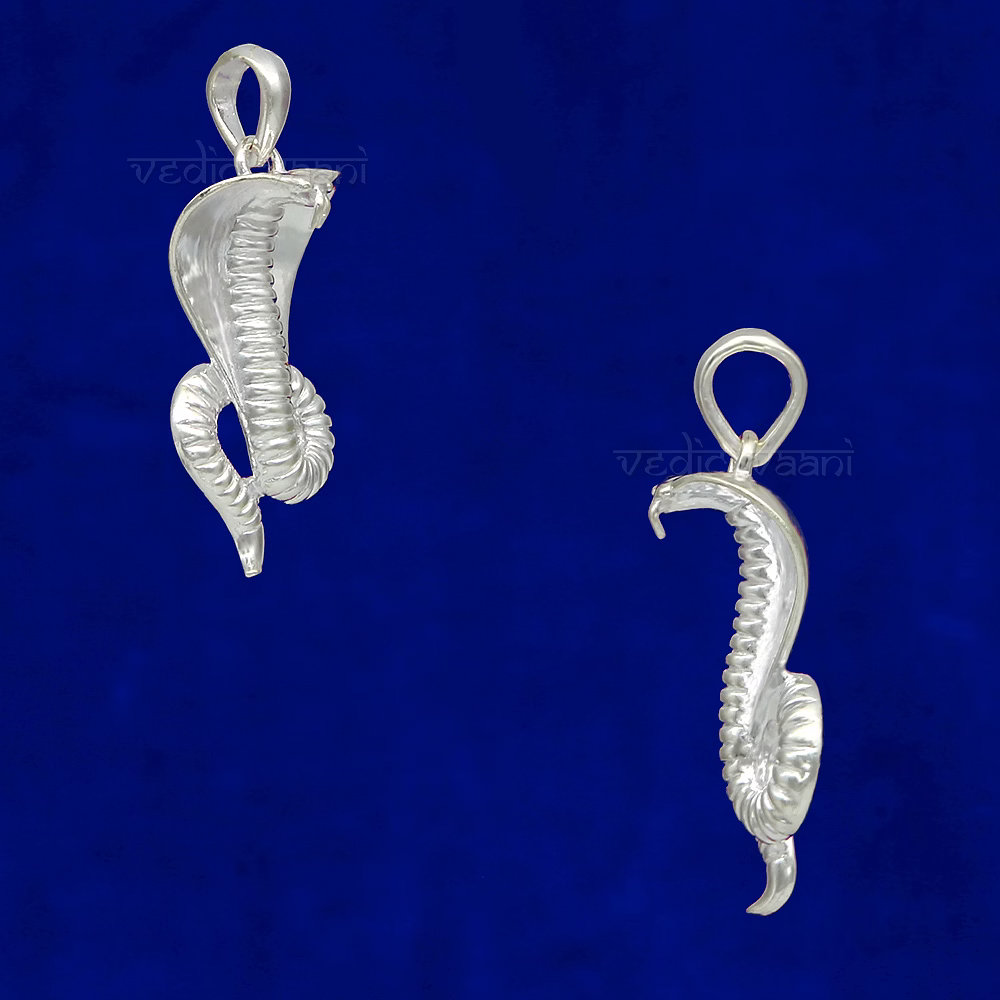 Naag (Snake) Locket in Pure Silver image 2