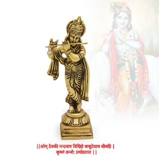 Divine Spiritual Lord Krishna Idol