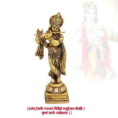 Divine Spiritual Lord Krishna Idol