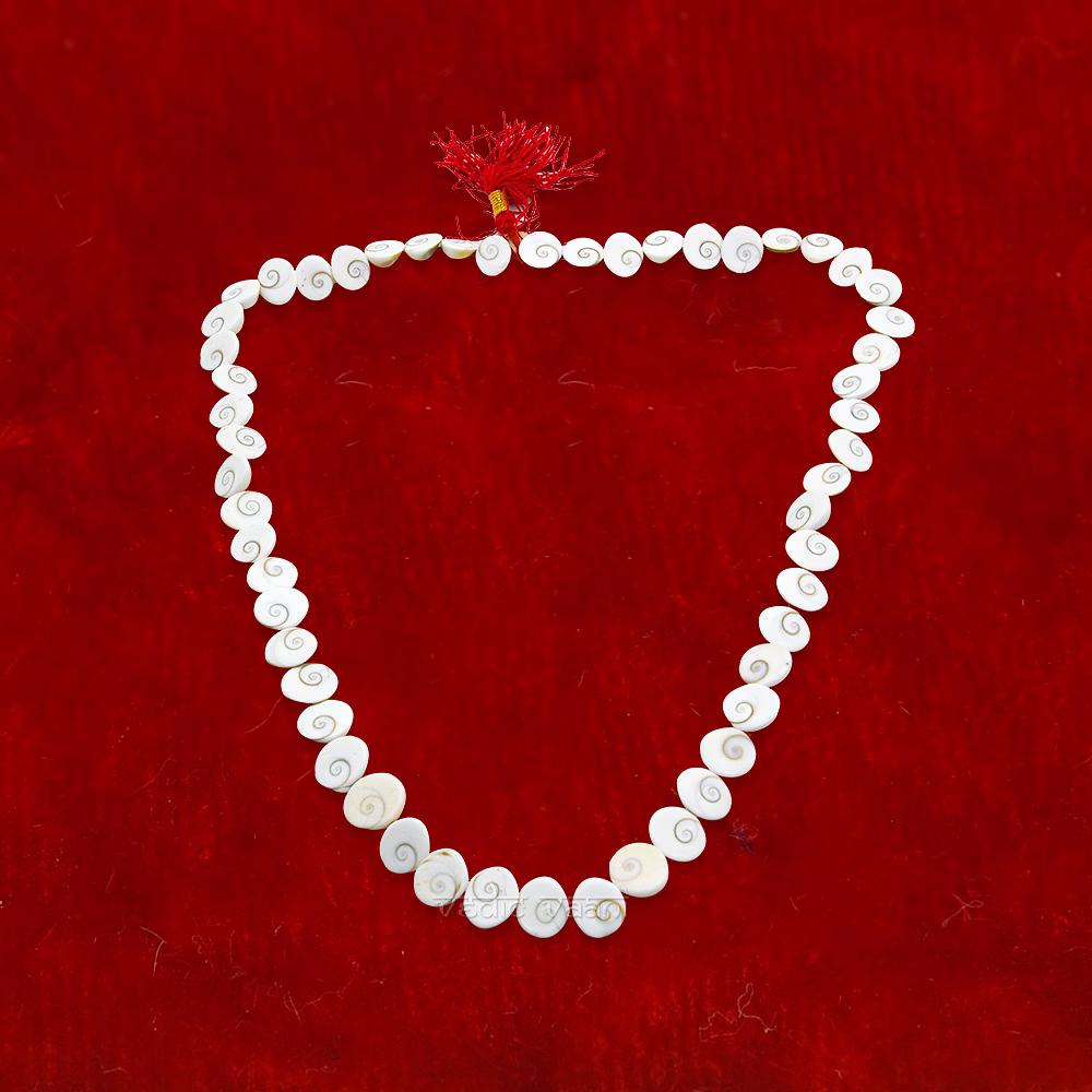 Gomati Chakra Mala 54+1 Beads image 3