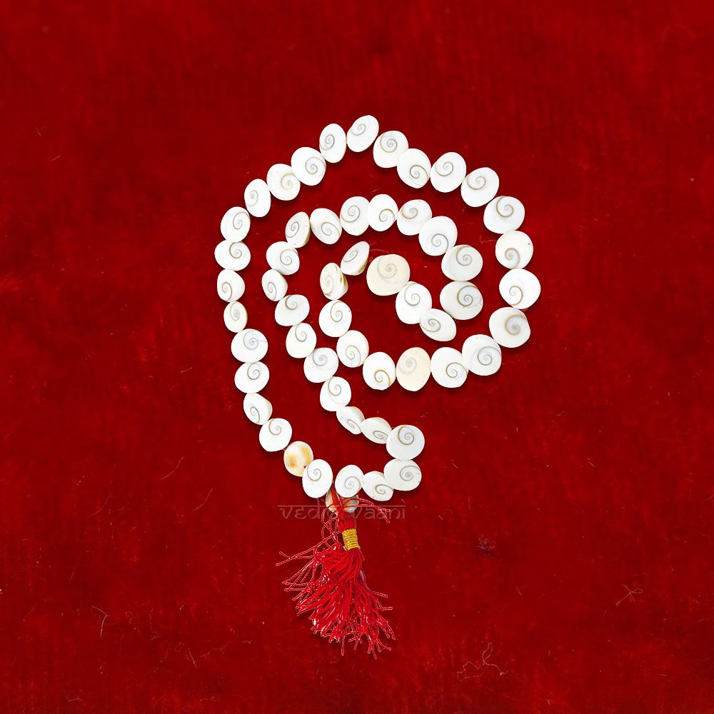 vedic vaani™ gomati chakra mala 54+1 beads