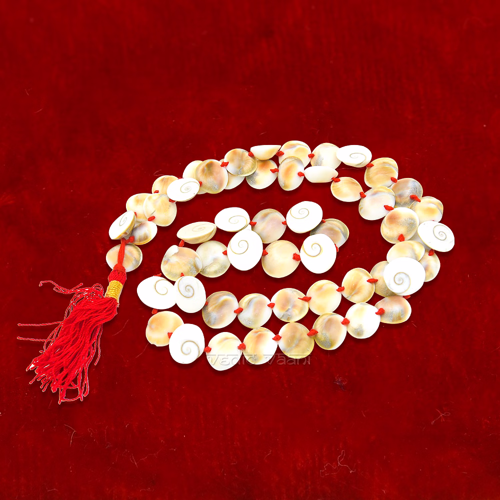 Gomati Chakra Mala 54+1 Beads image 2