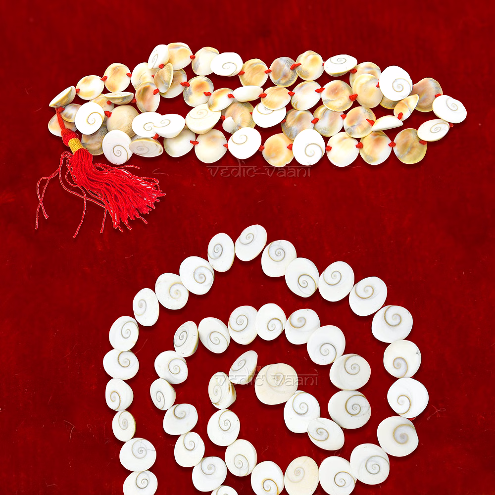 Gomati Chakra Mala 54+1 Beads image 4