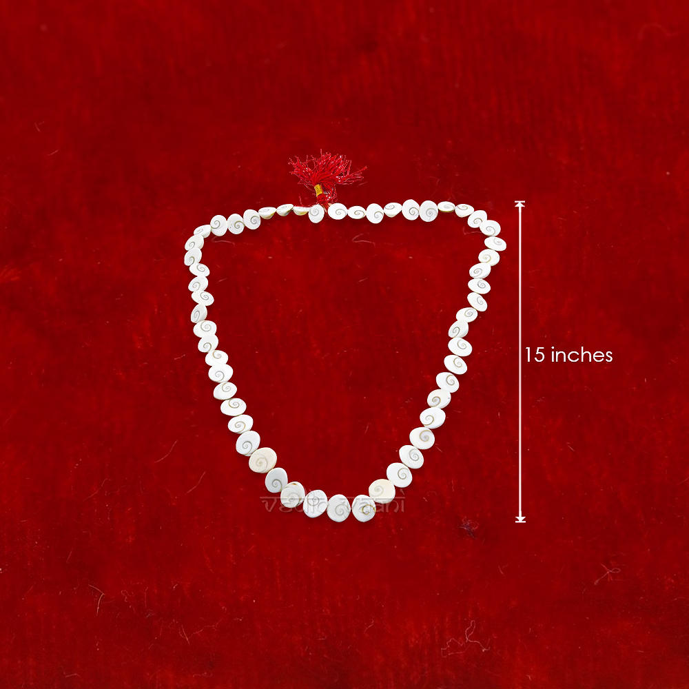 Gomati Chakra Mala 54+1 Beads image 5