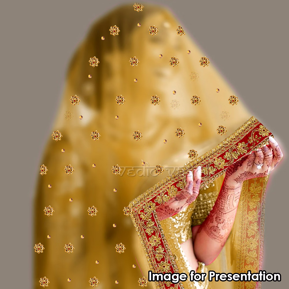Gold Chunri with Red Border image 6