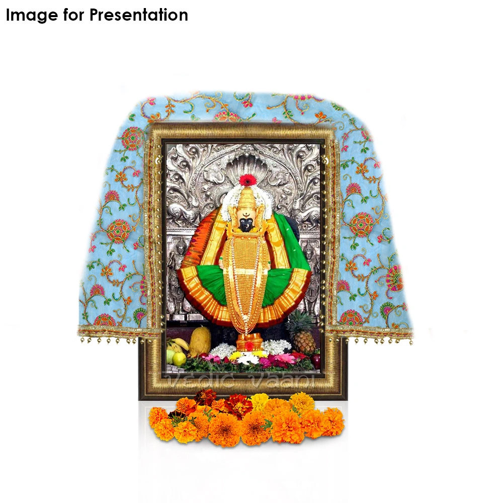 Desirou's MATA Ki Chunari 30x20cm Durga MAA ki Chunni, Decorative  Traditional Red Cloth for Asan, Phatka for All Goddesss, Indian Traditional  Chunri for Hindu God Holy Chunni : Amazon.ca: Home