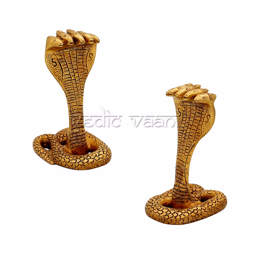 Five Headed Naag Devta in Brass image 2