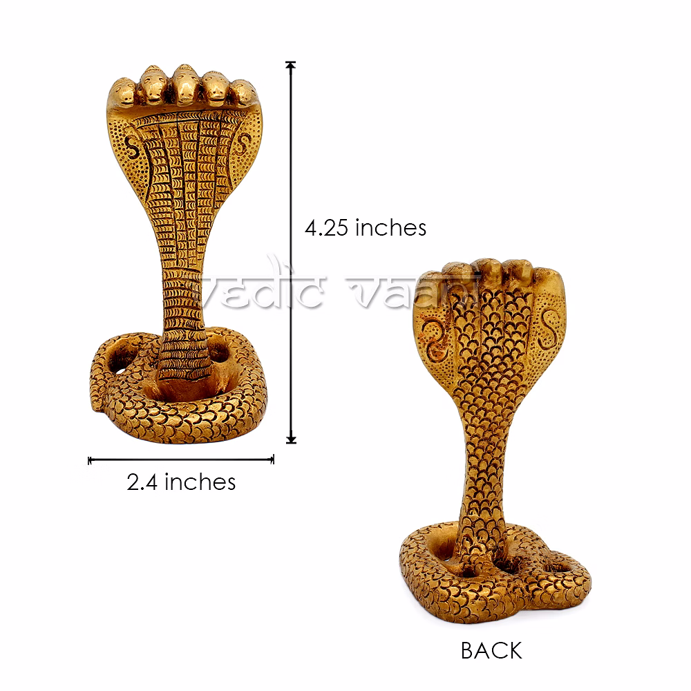 Five Headed Naag Devta in Brass image 3