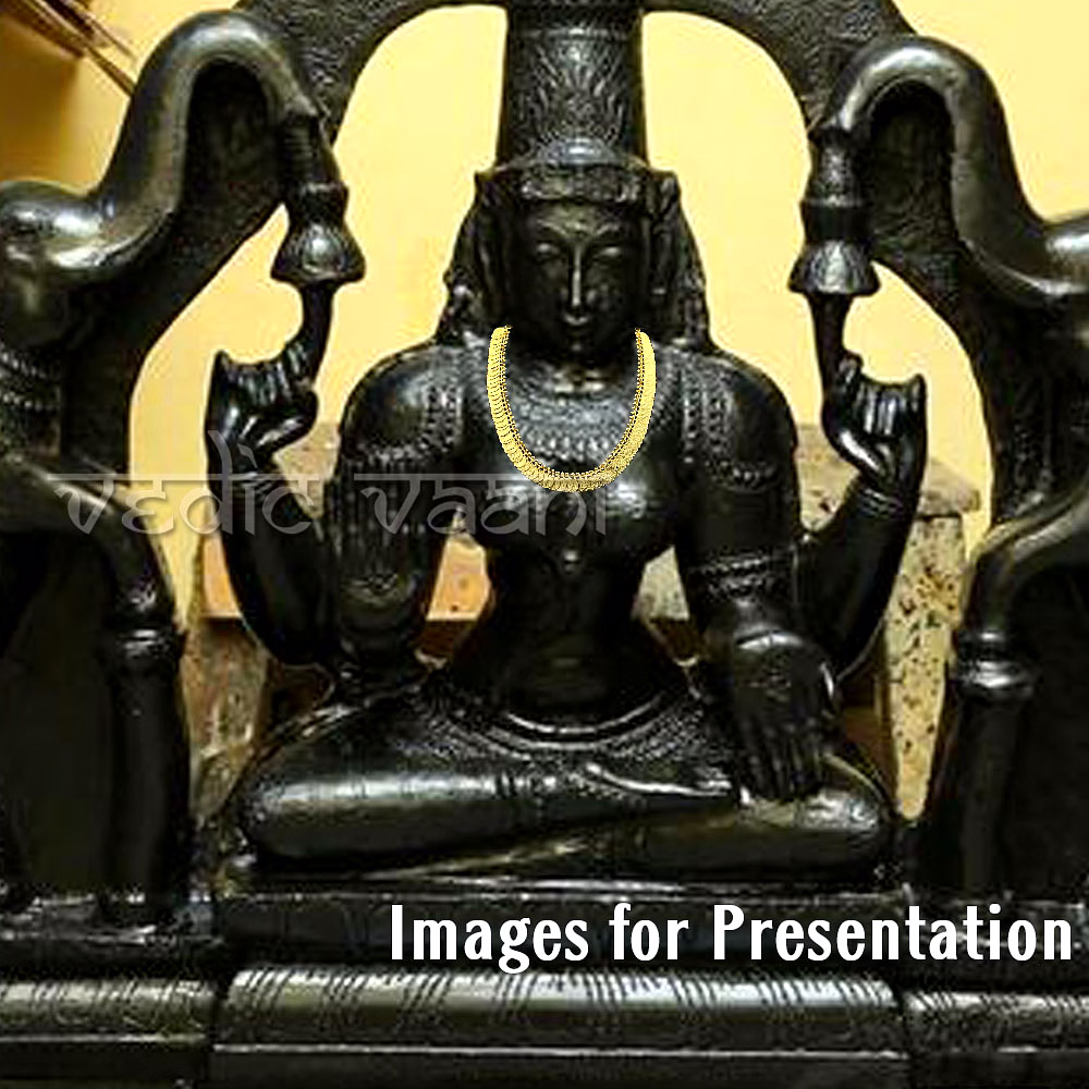 Laxmi Kasu Necklace image 5