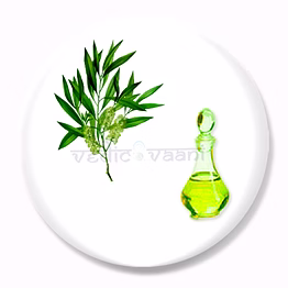 vedic vaani™ tea tree water