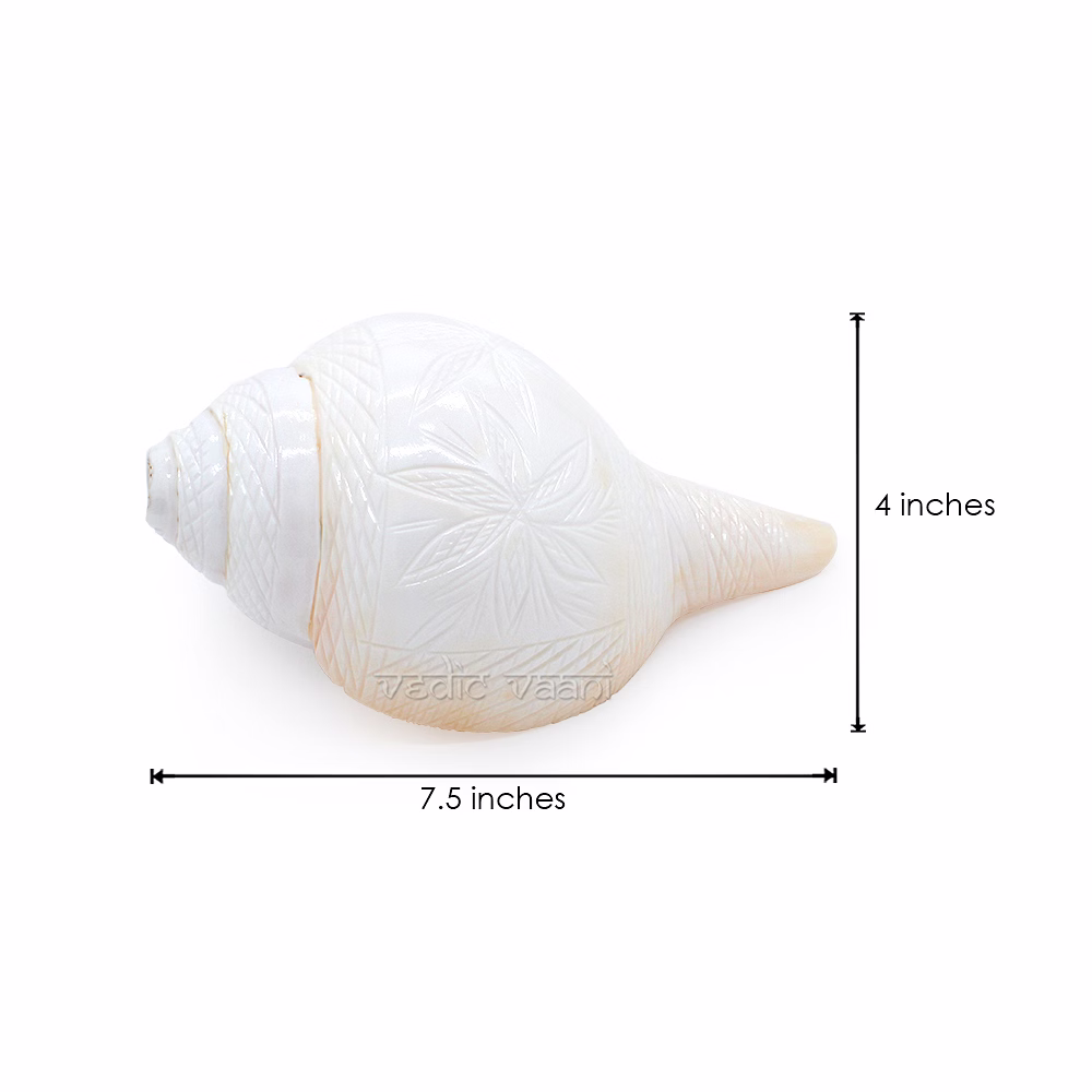 Blowing Shankha / Bajnewala Shankh in Flower Design image 2
