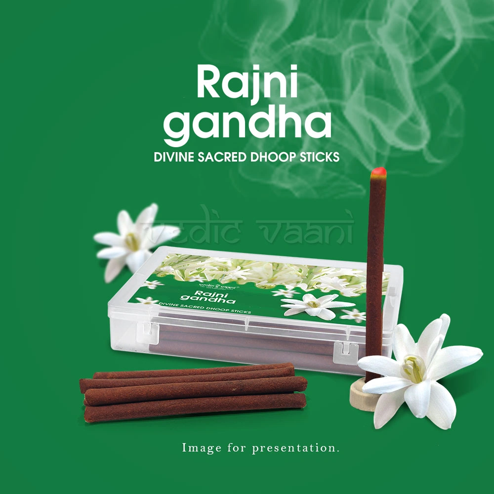 Rajnigandha Dhoop Sticks-25 sticks-2