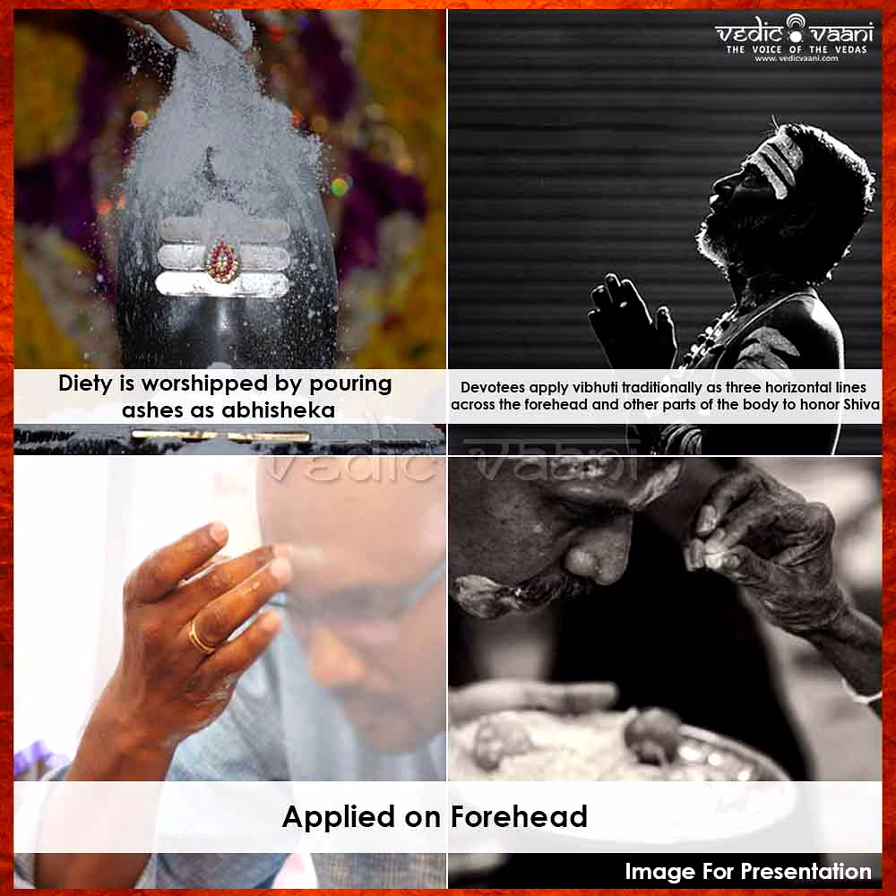 Bhasma - Vibhooti powder image 2