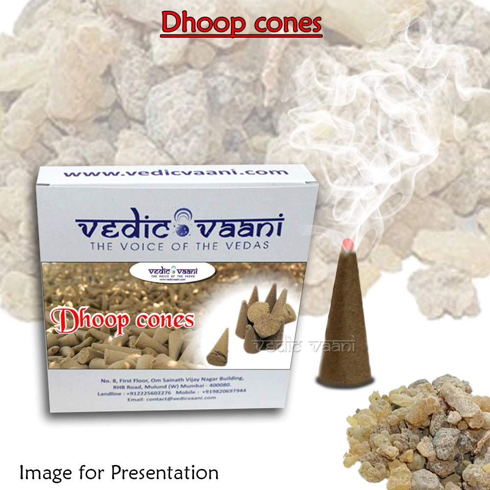 Dhoop cones-10 pcs-2