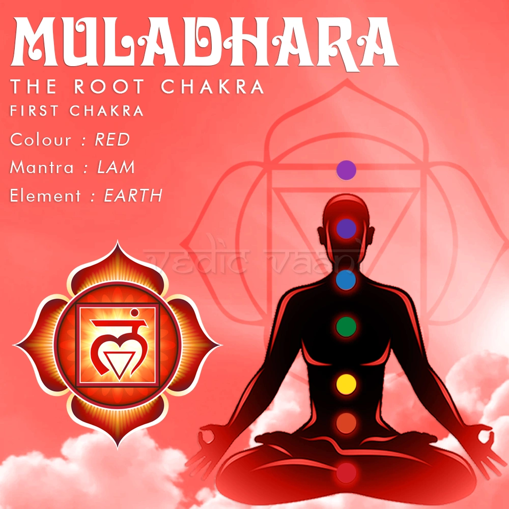 Root Chakra Muladhara Incense Sticks-100 gms-5