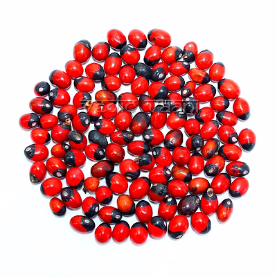vedic vaani™ chirmi beads - red