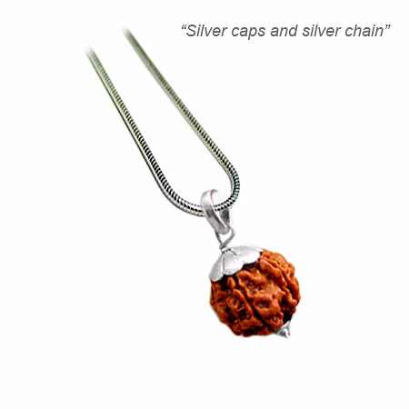 Gauri Shankar Java Rudraksha image 3