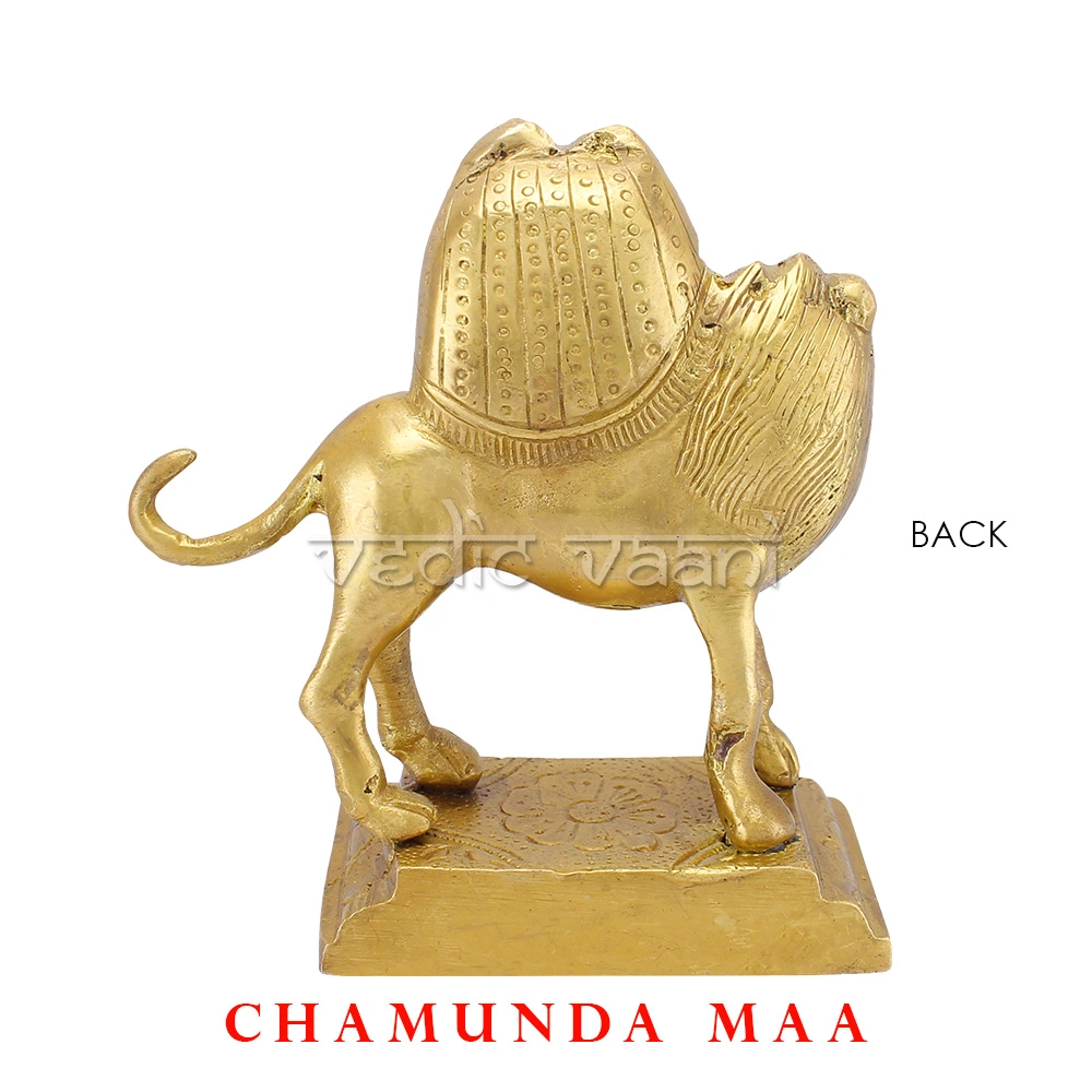 Maa Chamunda Idol-3