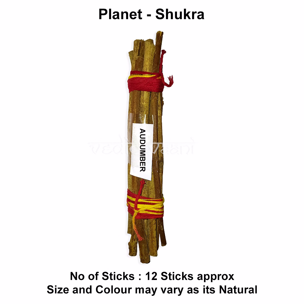 vedic vaani™ audumber wood for shukra planet