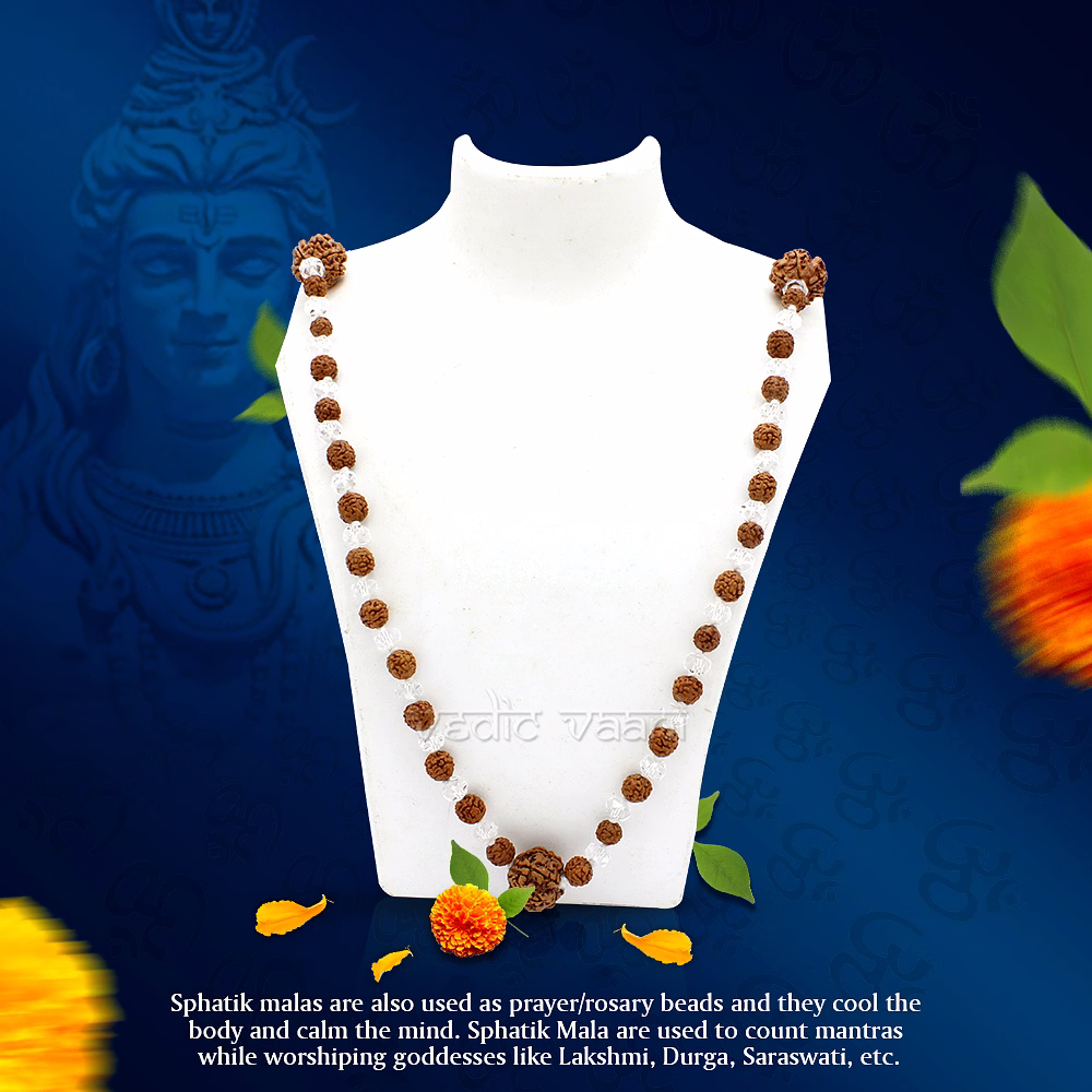 Sphatik Rudraksh Mala with 7 Mukhi - 108 beads image 1