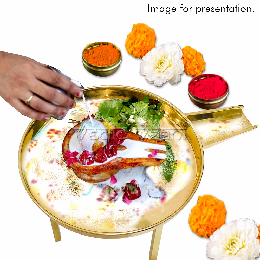 Abhishek Tray (Heavy Weight) in Brass - Big Size image 4