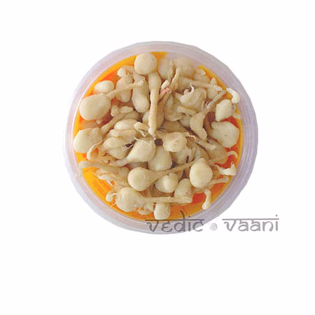 vedic vaani™ oiled cotton wicks