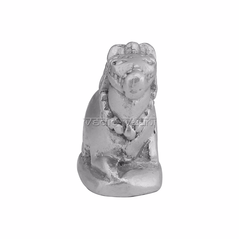 Parad Nandi Bull image 2