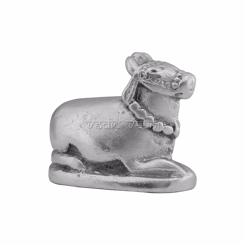 Parad Nandi Bull image 3