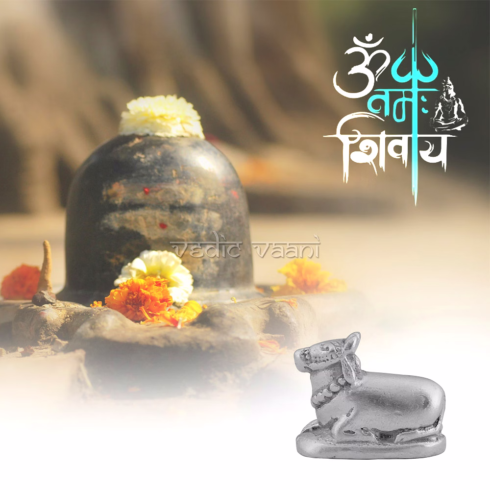 Parad Nandi Bull image 6