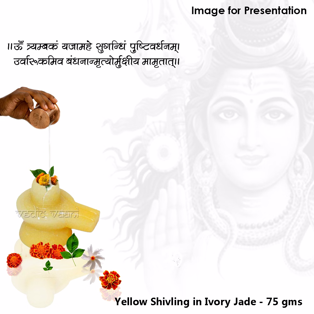 Yellow Shivling in Ivory Jade - 75 gms image 2