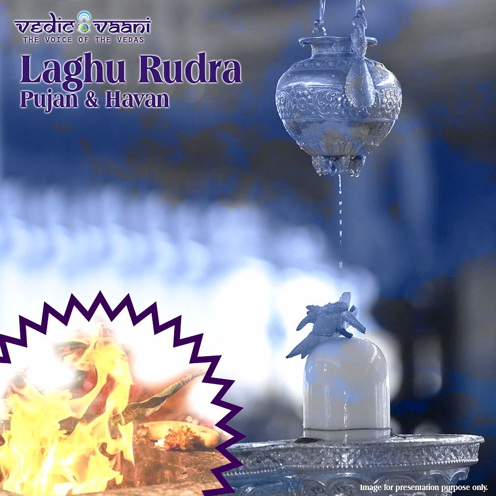 vedic vaani™ laghu rudra pujan & havan