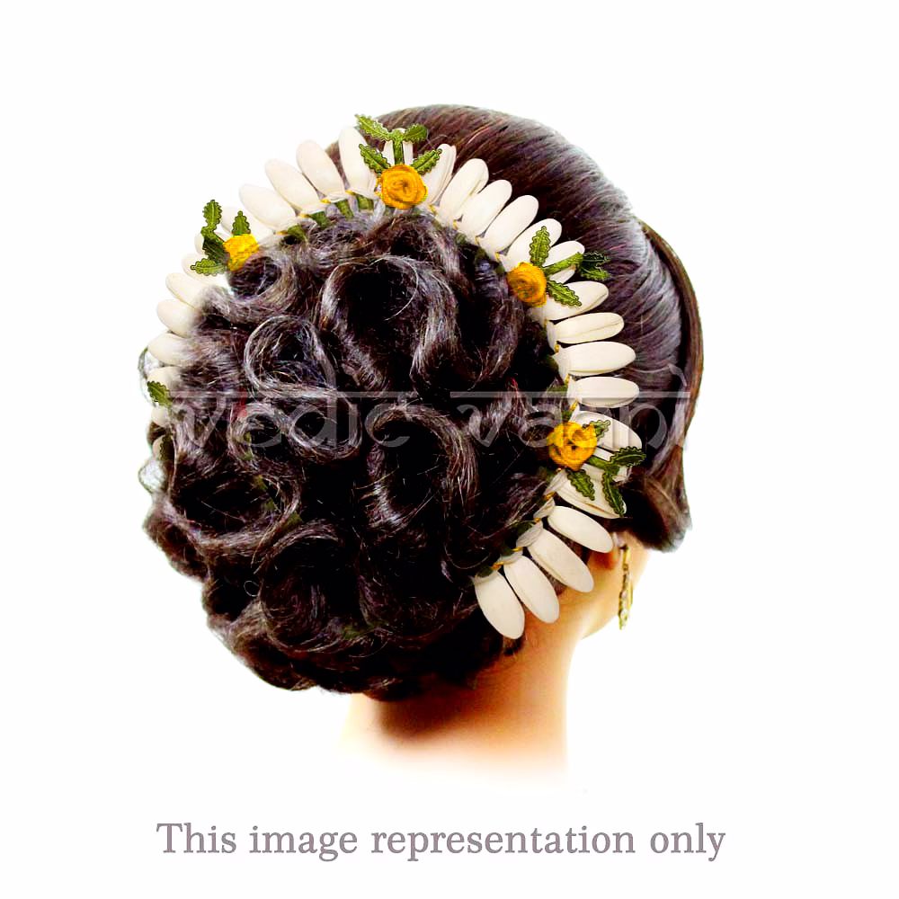 Fancy Veni image 4