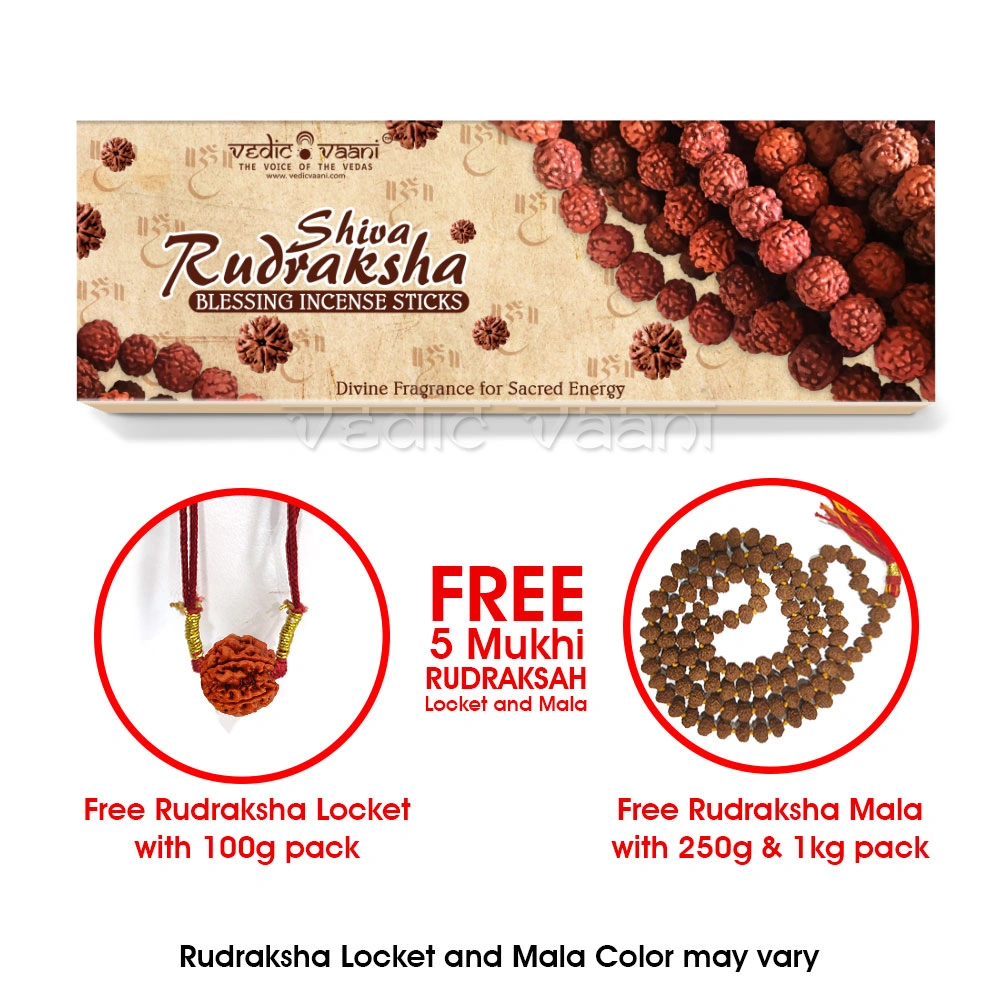 Shiva Rudraksha Blessing Incense-100 gms-3