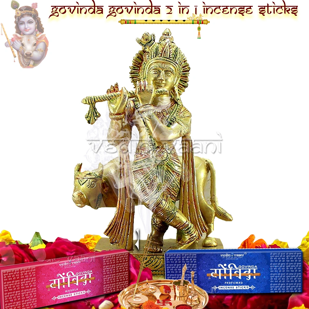 Govinda Govinda 2 in 1 Incense Sticks-200 gms-5
