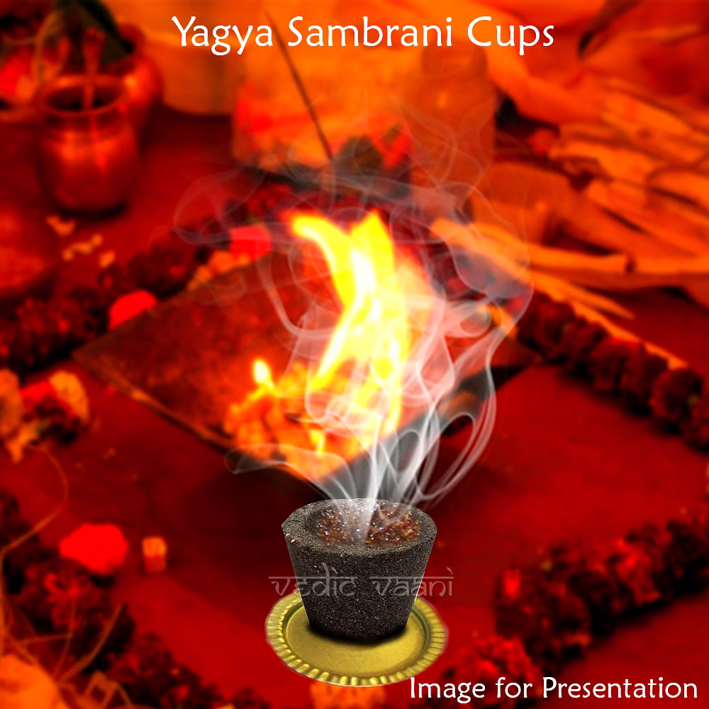 Yagya Sambrani Cups image 3