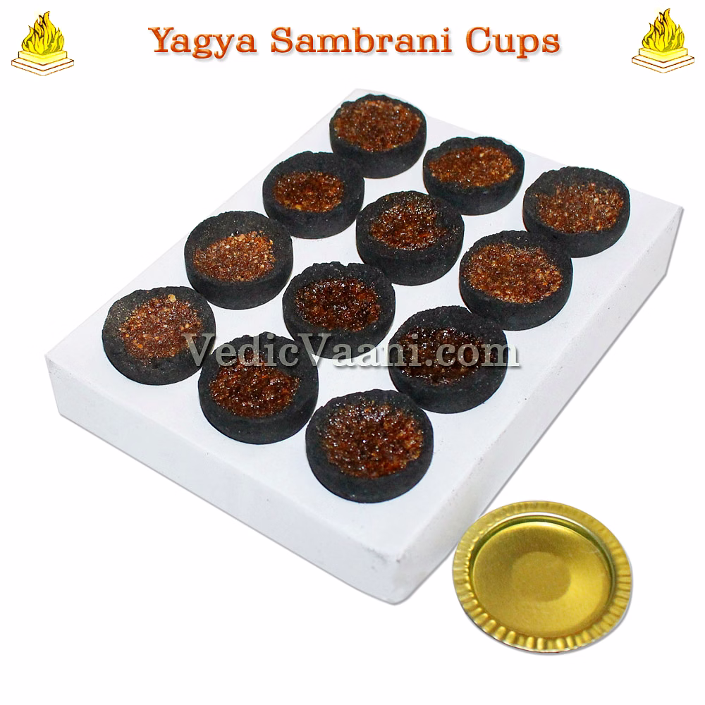 Yagya Sambrani Cups image 2