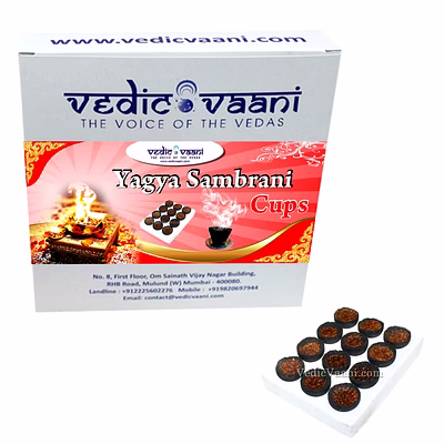 vedic vaani™ yagya sambrani cups
