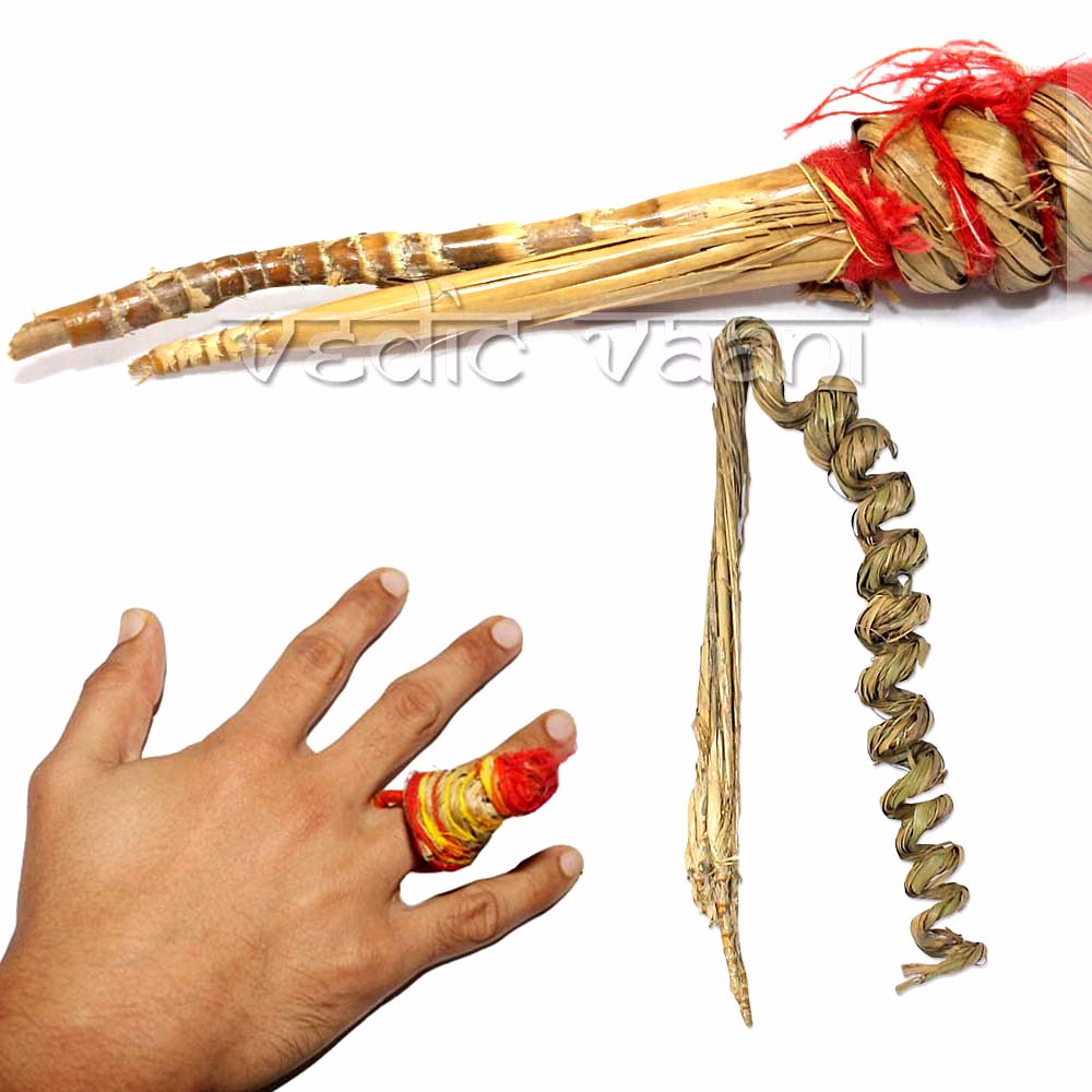 Dharbham holy Grass & Pavitram for Puja and Yagna Rituals image 3